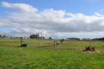 Paddocks